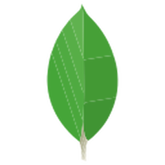 Mongodb Logo